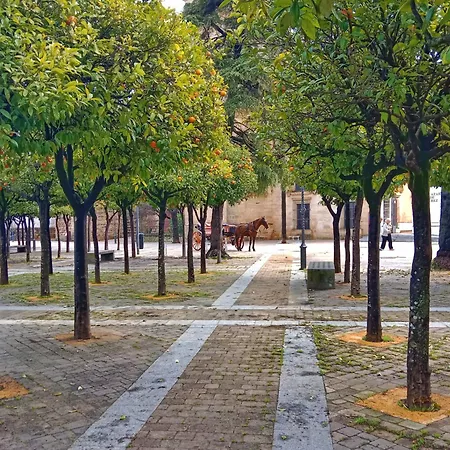 Penthouse Arenal - Boutique Puerta Real Апартаменти